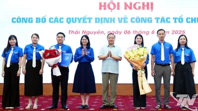Tỉnh đoàn Thái Nguyên phát động phong trào cán bộ trẻ xung phong về cơ sở
