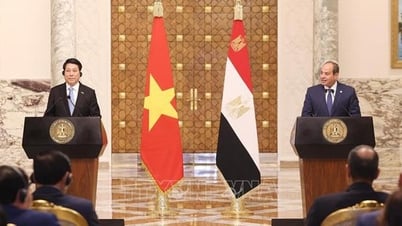Tuyên bố chung nâng cấp quan hệ Đối tác Toàn diện Việt Nam - Ai Cập