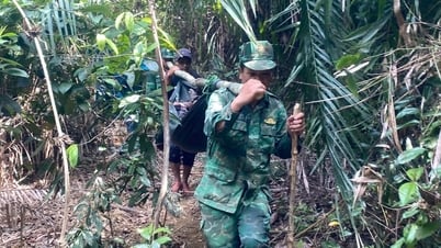 Kịp thời đưa một người dân xã Đắc Pring bị rắn cắn nguy kịch đi cấp cứu