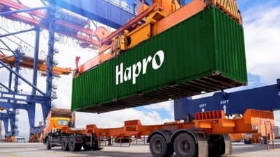 HAPRO và hành trình đưa Thương hiệu quốc gia Việt Nam ra toàn cầu