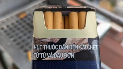 7 nguyên tắc giúp phòng bệnh tim mạch