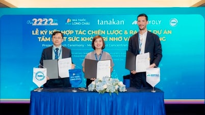 Long Châu hợp tác Mayoly, Hội VnADA ra mắt chương trình kiểm tra sức khỏe trí nhớ