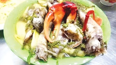 Độc đáo loài cá suối