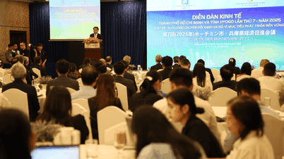 TP Hồ Chí Minh và tỉnh Hyogo - Nhật Bản bàn giải pháp phát triển bền vững