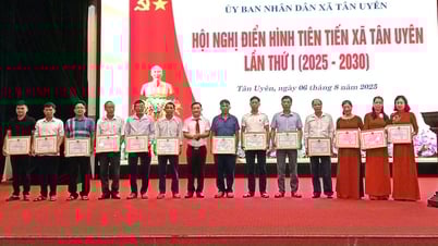 8 tập thể, 5 hộ gia đình, 34 cá nhân điển hình tiên tiến được biểu dương, khen thưởng