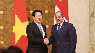 Việt Nam - Ai Cập nâng cấp quan hệ lên Đối tác Toàn diện