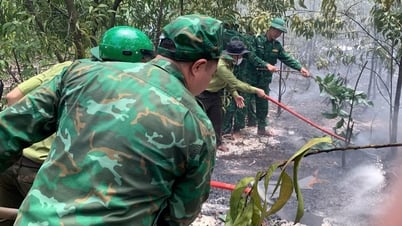 Dập tắt cháy rừng tại xã Phú Vinh