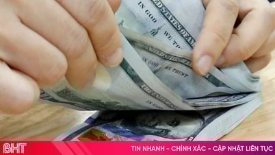 Tỷ giá USD hôm nay 6/8/2025: Tỷ giá trung tâm giảm sâu