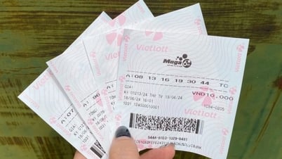 Nhiều người trúng số, Vietlott chi 2.500 tỷ đồng trả thưởng sau nửa năm