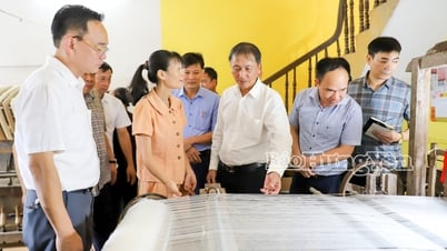Đồng chí Phó Chủ tịch UBND tỉnh Nguyễn Hùng Nam thăm, kiểm tra một số hợp tác xã
