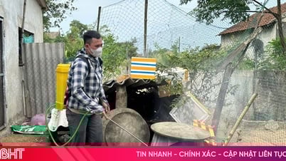 Hà Tĩnh xuất hiện ổ dịch sốt xuất huyết mới