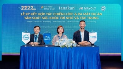Long Châu hợp tác cùng Mayoly, Hội VnADA ra mắt chương trình kiểm tra sức khỏe trí nhớ