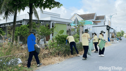 Sức trẻ Mùa hè xanh xã Vĩnh Hựu