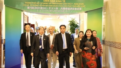 Xu hướng dịch chuyển dòng vốn đầu tư Nhật Bản vào Việt Nam