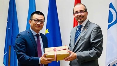 Thúc đẩy hợp tác quốc phòng Việt Nam-Áo vì hòa bình, phát triển