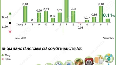 Chỉ số giá tiêu dùng tháng 7 tăng 0,11%