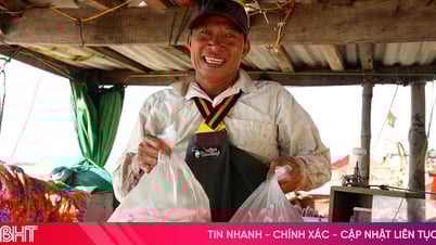 Mực tươi được giá, ngư dân Hà Tĩnh tích cực vươn khơi