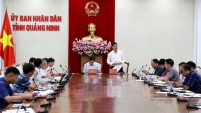 UBND tỉnh cho ý kiến tháo gỡ khó khăn một số dự án thuộc ngành Than và Nhà máy điện khí LNG