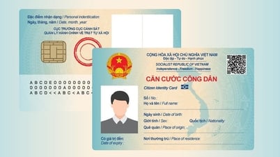 Thay thế mã số bảo hiểm xã hội bằng số định danh cá nhân, căn cước công dân