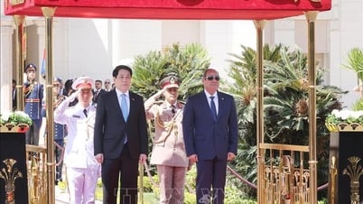 Lễ đón Chủ tịch nước Lương Cường thăm cấp Nhà nước Cộng hòa Arab Ai Cập