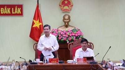 Sở Giáo dục và Đào tạo cần chú trọng nhiệm vụ nâng cao chất lượng giáo dục đại trà