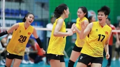 Lịch thi đấu của bóng chuyền U21 nữ Việt Nam tại giải vô địch thế giới