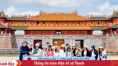 Đại Việt Tourist - Người đồng hành tin cậy trên hành trình khám phá Huế