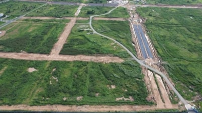 Vì sao nguyên tắc thị trường bị bỏ qua trong định giá đất?