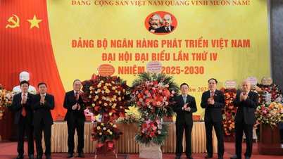 Đại hội Đảng bộ VDB: Thực hiện đồng bộ các giải pháp để phát triển bền vững