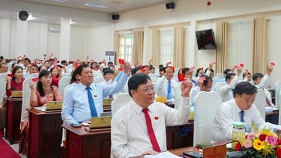 Kỳ họp thứ 2 (chuyên đề), HĐND tỉnh Khóa X