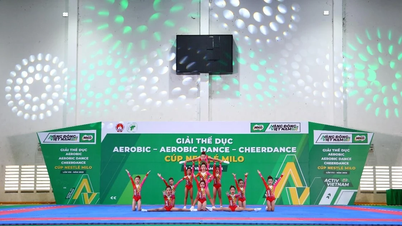 Mãn nhãn với màn trình diễn của 68 đội tại Giải thể dục Aerobic Cúp MILO lần VIII