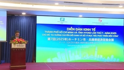 TP.HCM và tỉnh Hyogo thúc đẩy hợp tác chiến lược, hướng đến phát triển xanh và số