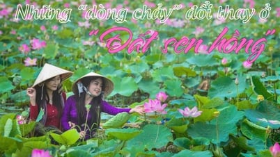 Những 'dòng chảy' đổi thay ở 'Đất sen hồng'