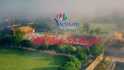 Trả lời kiến nghị của cử tri tỉnh Cần Thơ đề nghị kịp thời có giải pháp, định hướng chiến lược mới và phù hợp giúp ngành du lịch trong nước thích ứng kịp thời các biến động từ chính sách du lịch quốc tế