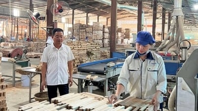 Doanh nghiệp Nghệ An 'biến áp lực thành động lực' khi Mỹ áp thuế 20%