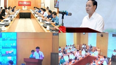 Training conference, dissemination of legal regulations on decentralization, delegation, and division of authority in the fields of agriculture and environment