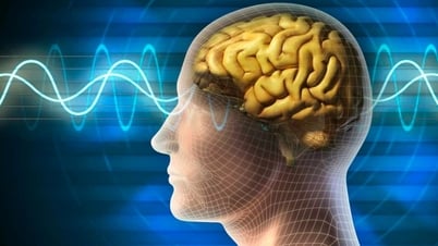 Đang làm việc bỗng... quên luôn việc muốn làm, mắc bệnh gì?