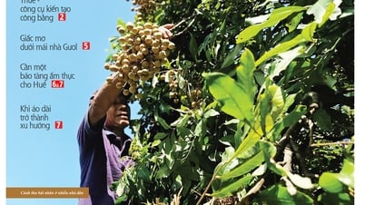 Mời đón đọc Huế ngày nay Cuối tuần số 32, ra ngày 7/8