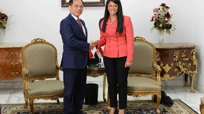 Ai Cập mong muốn tìm hiểu kinh nghiệm phát triển của Việt Nam