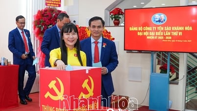 Đưa thương hiệu Yến sào Khánh Hòa vươn tầm quốc tế