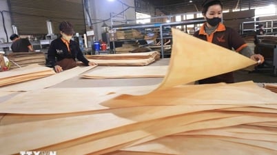 Thuế đối ứng 20%: Giải quyết bài toán cạnh tranh xuất khẩu