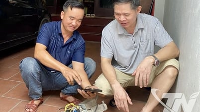 Để bảo vệ thiết bị điện trong nhà mùa mưa bão