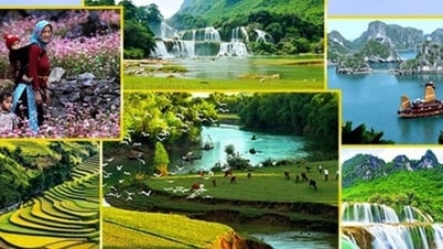 Định vị lại thương hiệu du lịch quốc gia một cách bài bản, chuyên nghiệp