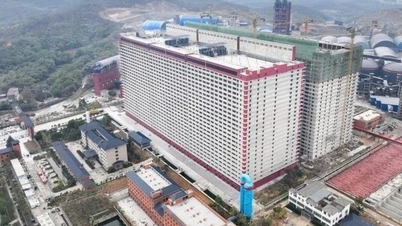 Xin ý kiến Thủ tướng về mô hình xây 'chung cư' nuôi lợn