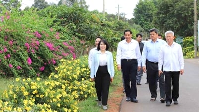 Xuân Lộc xây dựng nông thôn mới hiện đại