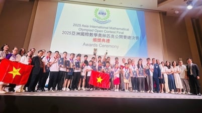 AIMO 2025: 100% thí sinh Việt Nam đoạt giải