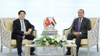 President: Vietnam always attaches importance to developing relations with Egypt
