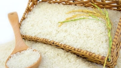 Giá lúa gạo hôm nay 6/8: Thị trường trầm lắng