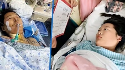 Nhận được giấy báo đỗ đại học, nữ sinh đang hôn mê liền tỉnh lại