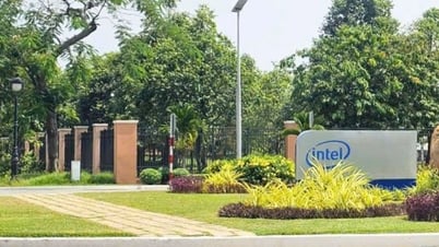 Bệ phóng cho ngành bán dẫn tại TP HCM